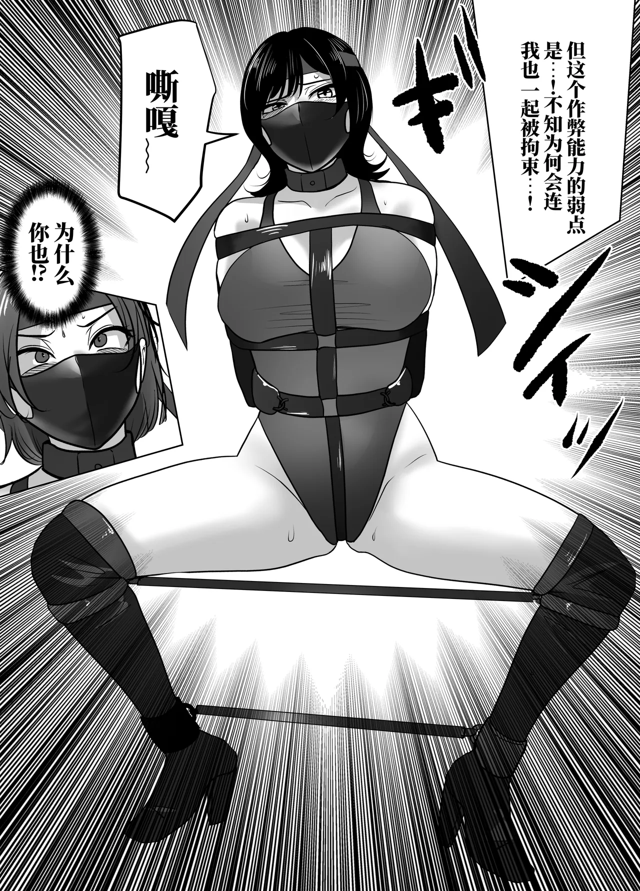 全集 52