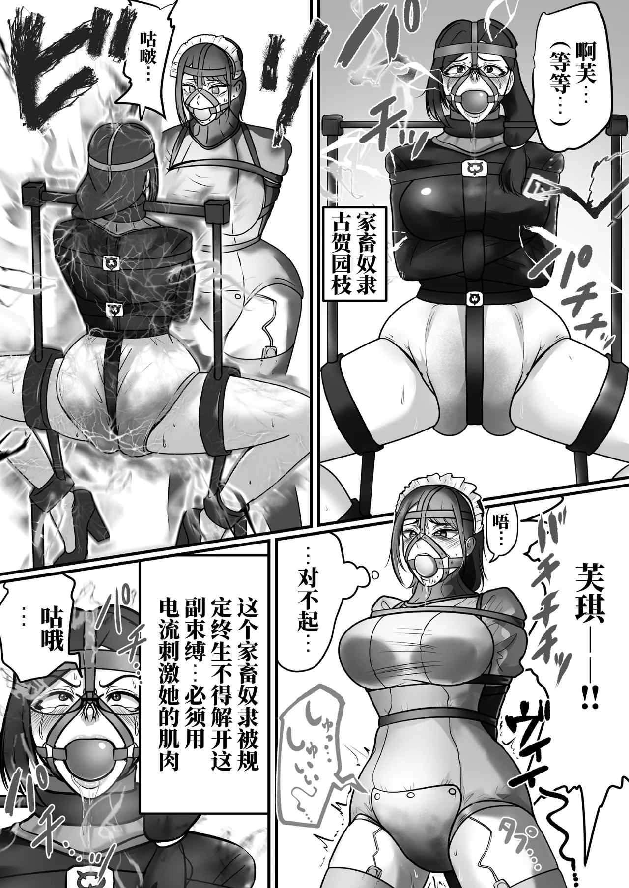 全集 161