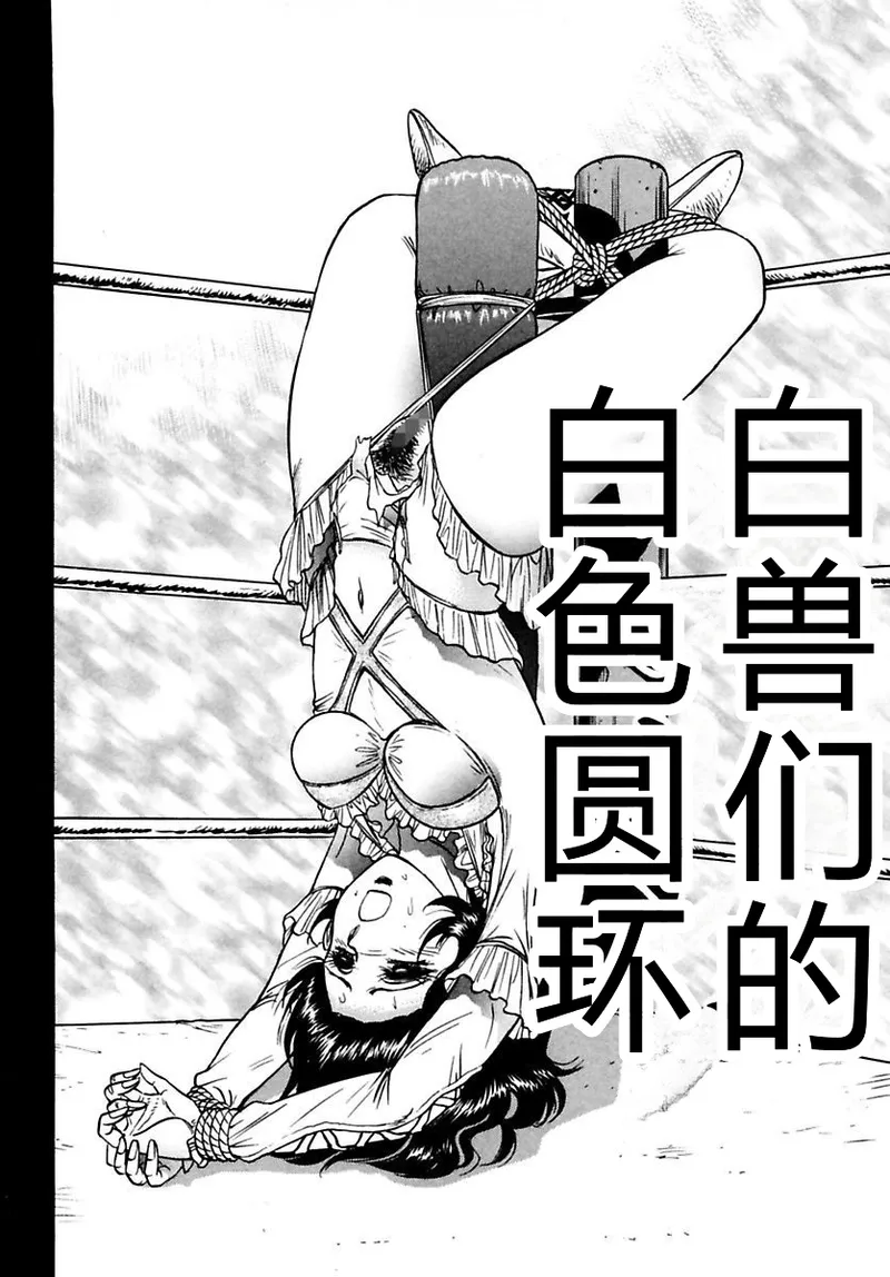 全集 52