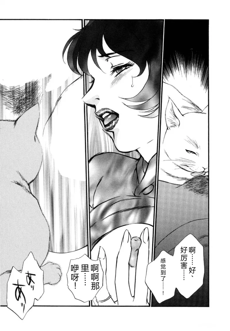 全集 17