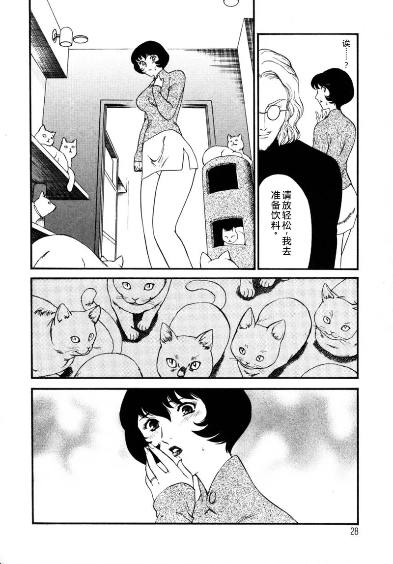 全集 28