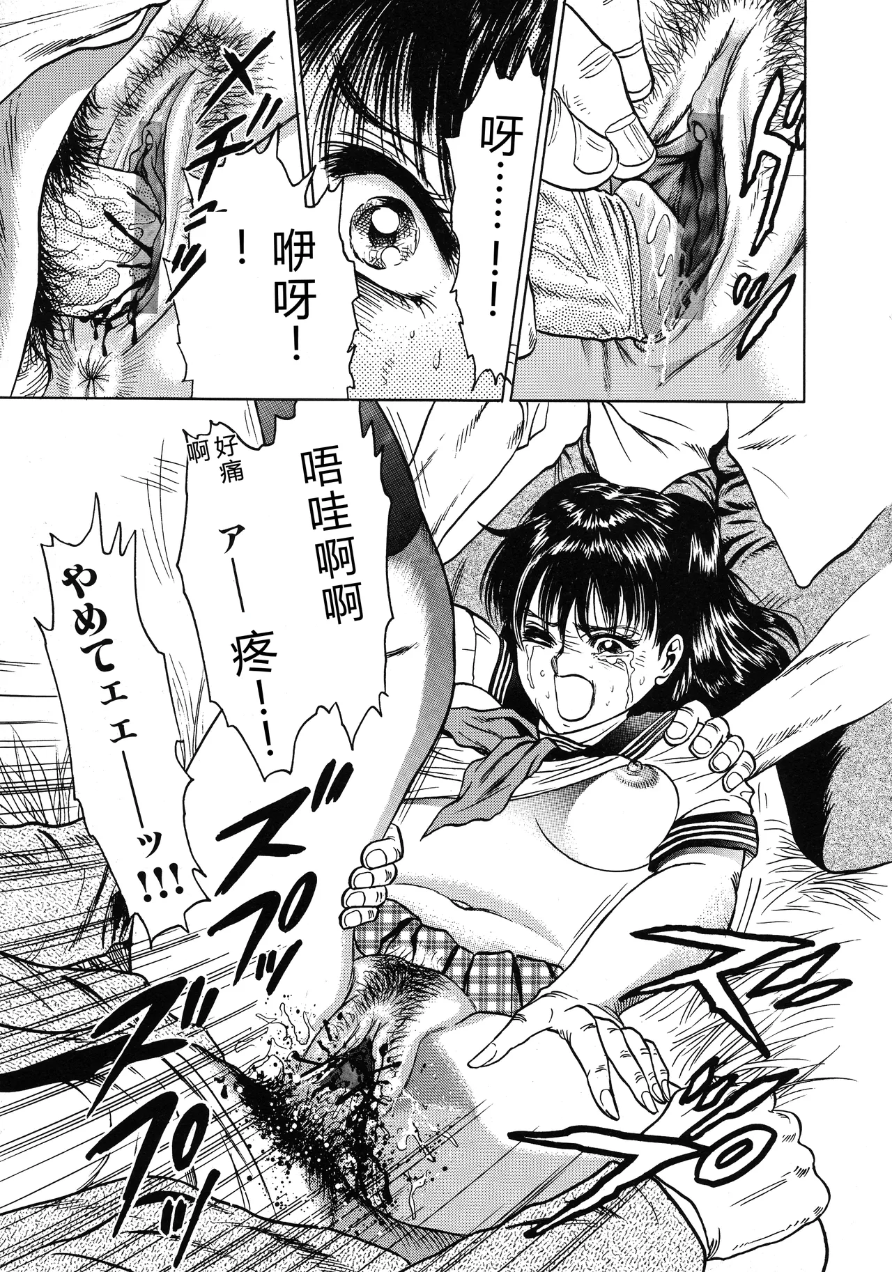 全集 43