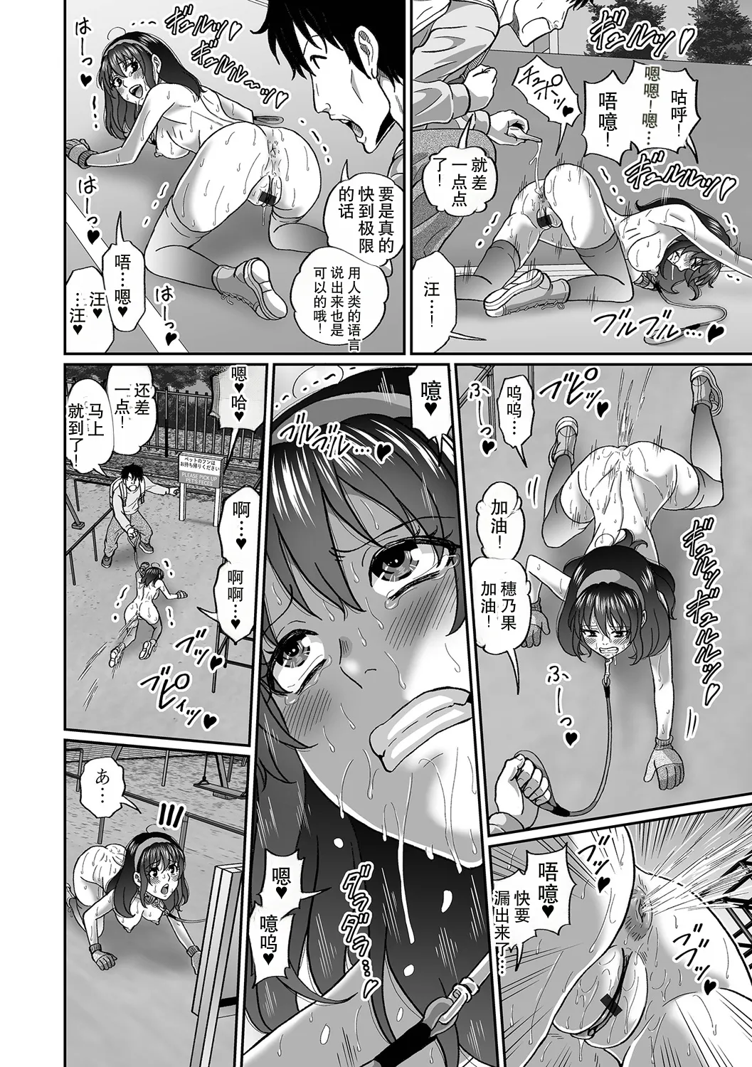 全集 12